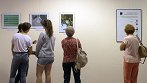 Fotografski ekstempore Ažmurk 2015 - razstava (2)